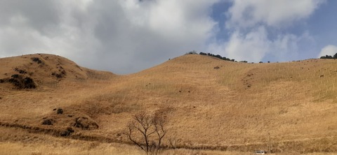 251-232(40-37)伽藍岳ゲリラキャン302_122021