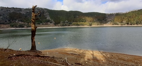 133-118(32-32)中ノ島公園125049