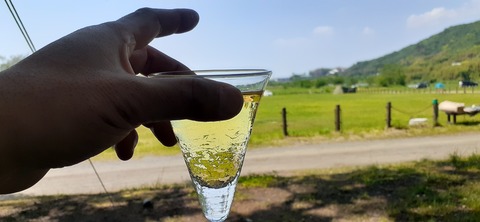 207-191(49-48)津志田河川公園乙女河原501_141201