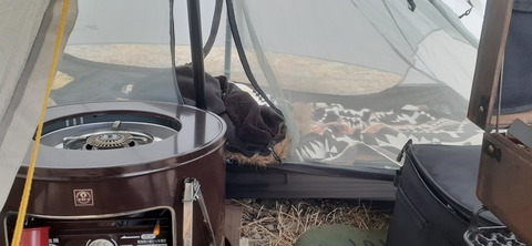 251-232(40-37)伽藍岳ゲリラキャン302_134114