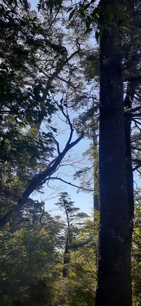 240-223(29-28)韓国岳1124_113041