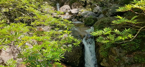 259-240(48-45)宮之浦岳新高塚小屋430_094504