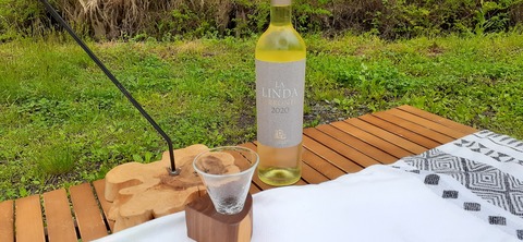 152-137(51-51)阿蘇夢蛍キャンプ場429_141411