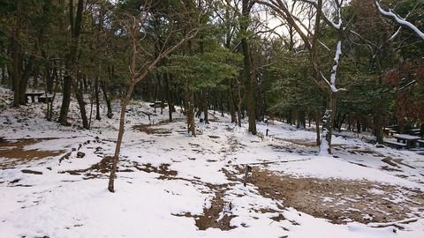 81-67(36-31)深坂自然の森274