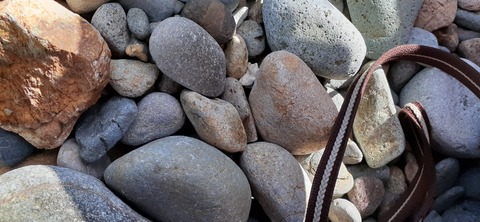 189-173(31-30)大島加代海岸103_124146