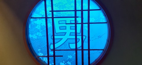 256-237(45-42)指宿レイクグリーン427_201629