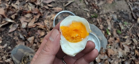 251-232(40-37)伽藍岳ゲリラキャン303_111032