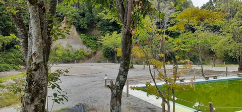 216-200(5-5)山鳥の森623_124739