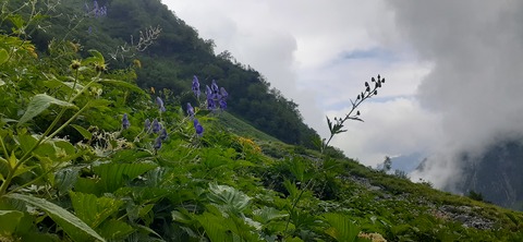 272-252(9-8) 上高地穂高岳814_121613