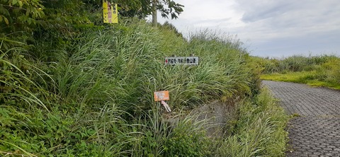 227-210(16-15)スノーピーク奥日田902_093147