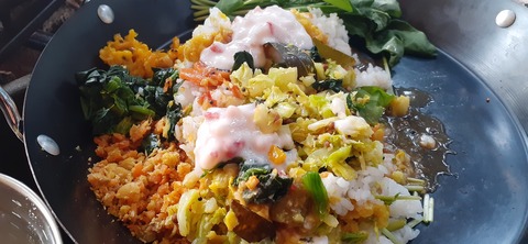 199-183(41-40)山中キャンプ場311_173653