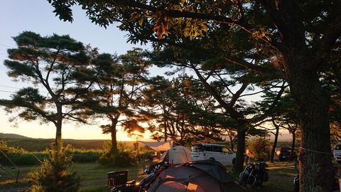 56-45(11-9)久住山荘南登山口C113S