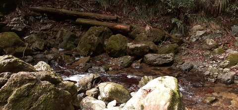 202-186(44-43)八木山渓流公園325_110255