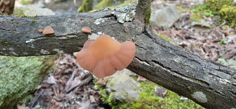 202-186(44-43)八木山渓流公園325_143802