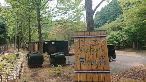 115-100(14-14)ｸﾞﾗﾝﾋﾟﾝｸﾞKAWASAKI607