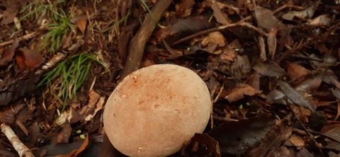 227-210(16-15)スノーピーク奥日田902_101836