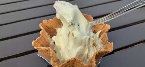 194-178(36-35)ゴンドーシャロレー⑨212_140132