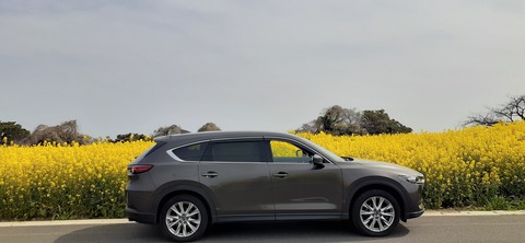 203-187(45-44)長崎鼻リゾートキャンプ場402_100610