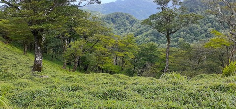 168-153(10-10)英彦山登山731_140956