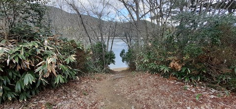 133-118(32-32)中ノ島公園115204