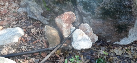 251-232(40-37)伽藍岳ゲリラキャン303_093900