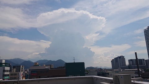 109-94(8-8)積乱雲817