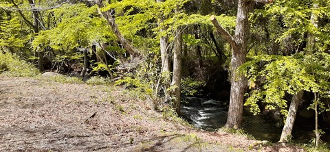 153-138(52-52)マゼノ 甲の瀬キャンプ村430_113903