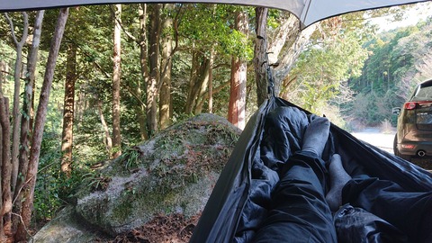 88-74(43-38)昭和の森一本松サイト873