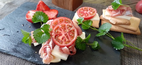 151-136(50-50)423湯の浦総合キャンプ場_160127