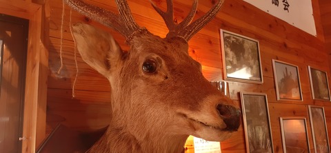 182-166(24-23)牧の原キャンプ場2回目1112_112854