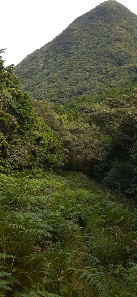 231-214(20-19)牛斬山1001_132414