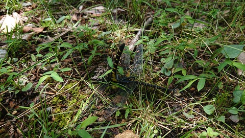 105-90(4-4)福岡某所560