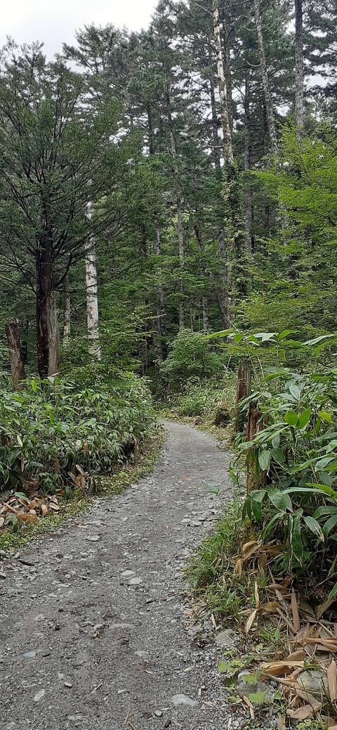 273-253(10-9) 上高地穂高岳816_101019