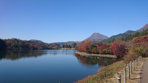 23-19志高湖キャンプ場775