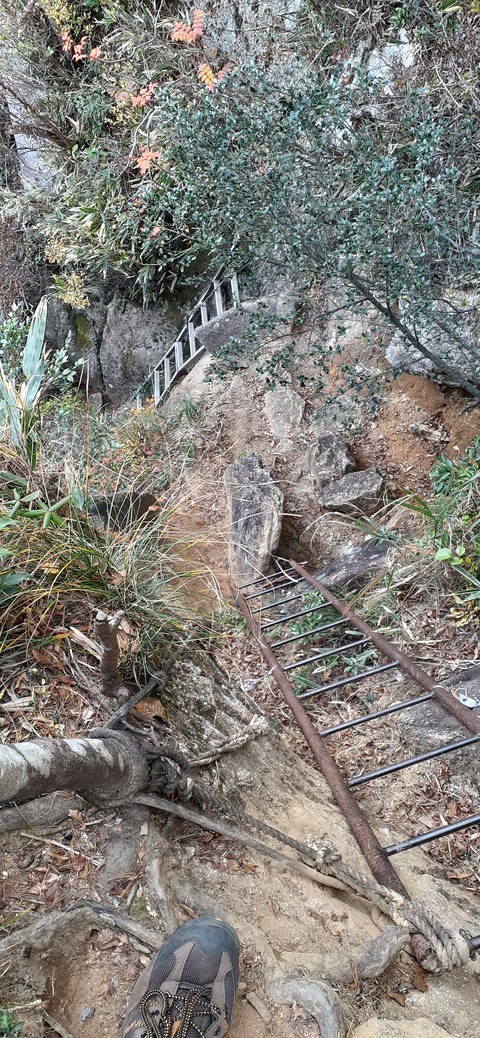 236-219(25-24)大崩山1104_150320