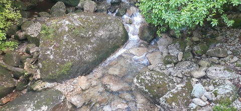 259-240(48-45)宮之浦岳新高塚小屋430_064036