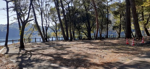 241-224(30-29)奥霧島御池キャンプ場②1125_105615