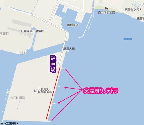 釣果 姫路