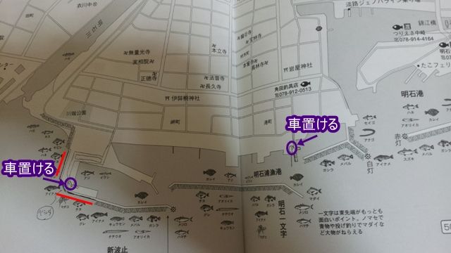 明石浦漁港 ねこの住む漁港 フィッシング流法 釣れない徒然日記