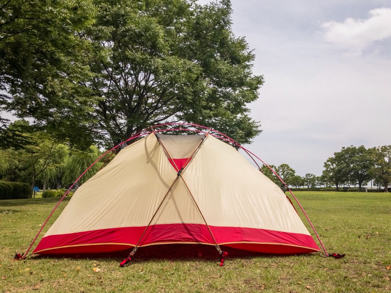 MOSS Thunder Dome GT サンダードームGT モス Solaryth - MOSS