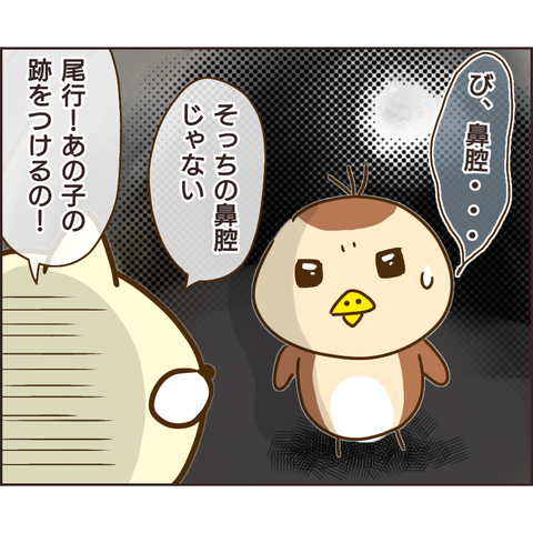 放置子48