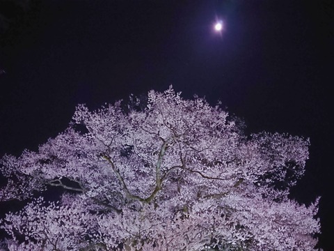 BeautyPlus_20210329112736600_save