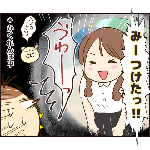 放置子51