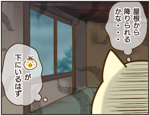 その人大丈夫？243