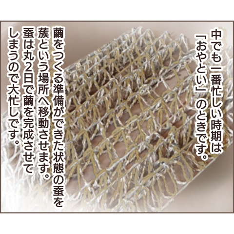 夫婦編133