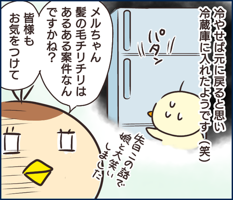 メルちゃん9
