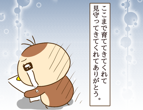 無題265