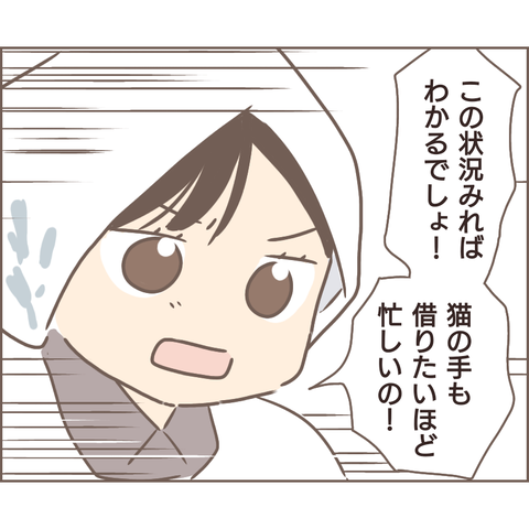 夫婦編138