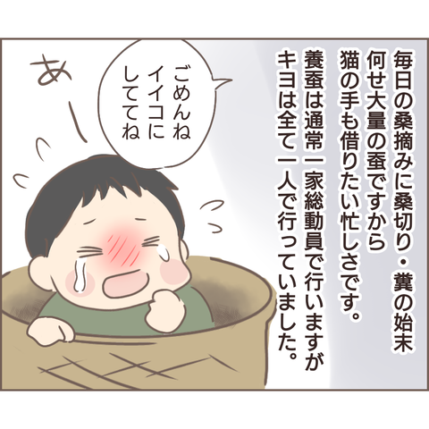 夫婦編132