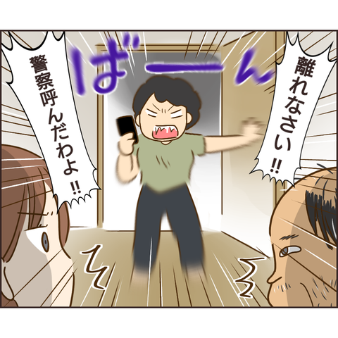 放置子208